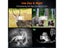 Night Vision Goggles Night Vision Binoculars Digital Infrared Binoculars Carousel 3