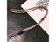 Phone Wrist Straps Hanging Ropes Anti-lost Lanyards Neck Straps Carousel 5