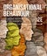 Organisational Behaviour: Engaging People and Organisations by Ricky W. Griffin Carousel 1