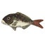Loading Image 1 of 3