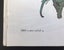 Margaret Mahy, Seventeen Kings. Rare First Edition 1972. Carousel 6
