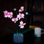 Lego Orchid 10311 Light Kit Carousel 1