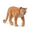 Loading Image 1 of 2