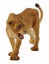 Loading Image 1 of 2