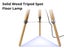 Floor Lamp Carousel 5