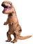 Loading Image 1 of 1