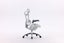 Sihoo A3 DORO C300 PRO Ergonomic Chair Light Grey Carousel 7