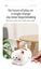 Cute Cat Silicone Lamp, Rechargeable Carousel 9