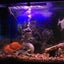 Submersible Led Aquarium Lights Lights Carousel 3