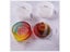 DIY Crystal Epoxy Resin Mold Round Stripe Storage Box Silicone Mold For Resin Carousel 8