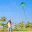 Large Delta Kites Flying for Adults Kites Outdoor Toys for Kids Kites Handle ... Carousel 4