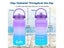 Quifit Half Gallon 2L Water Bottle With Straw 2 Litre Tritan BPA Free Carousel 8