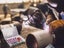 PTN New Tig Welding Torch Accessories Kit Sale Sale Sale Carousel 6