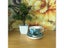 Starry Sky Night Cafe Sower Sunflowers Irises Apricot Flowers Art Painting Cups Carousel 5