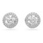 Swarovski Constella Stud Earrings Pavé w / Rhodium Plate Carousel 1