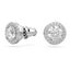 Swarovski Constella Stud Earrings Pavé w / Rhodium Plate Carousel 4