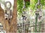 Cable Pulley Wheel 48mm NZ Clearance Carousel 5