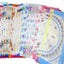 Embroidered Butterfly Lace Flower Assorted Cloth Ladies Handkerchief Fabrics Carousel 2