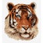 DMC Cross Stitch Kit Tiger Counted X Stitch incl Thread and Aida Cloths Carousel 1