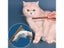 Cat Brush Dog Brush Carousel 2