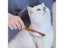 Cat Brush Dog Brush Carousel 3