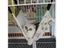 Hanging Cat Hammock For Pet Cage Winter Warm Cushion Mat Carousel 8