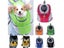 Portable Dog Carrier Backpack Breathable Mesh Cat Double Shoulder Carry Blanket Carousel 1