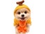 Cat Clothing Carousel 5