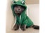 Cat Clothing Carousel 6