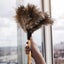 Dusting Brush Duster Carousel 6