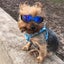 Pet Sunglasses for Dogs and Cats - Adorable Eye Wear for Pet Photos and Props Carousel 2