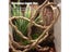 Reptile Landscaping Vine Fake Branches Rainforest Foam Rattan Terrarium Decor Carousel 6