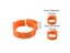 100Pcs Color Adjustable Chicken Foot Rings Inner Diameter 2 2.4cm 8 Colors Carousel 4