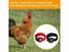 2PCS Chicken Collar No-Crow Rooster Collar Fowl Neckband Accessories For Farm Carousel 8
