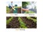 Biodegradable Grass Seed Growth Mat For Garden Veg Planting Carousel 3