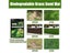 Biodegradable Grass Seed Growth Mat For Garden Veg Planting Carousel 6