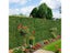 Artificial Turf Fake Grass Carousel 4