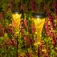 Garden Solar Light Outdoor Sale Sale Carousel 9