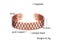Pure Copper Bracelet Men Magnetic Arthritis Adjustable Magnets Men Cuff B CHK12N Carousel 26