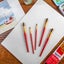Watercolour Brushes Signature 5pc - Mont Marte Carousel 7