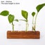 Wall Hanging Glass Planter Ins Terrarium Flower Bud Vase with Wooden Test CHK12N Carousel 25