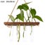 Wall Hanging Glass Planter Ins Terrarium Flower Bud Vase with Wooden Test CHK12N Carousel 28