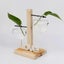 Wall Hanging Glass Planter Ins Terrarium Flower Bud Vase with Wooden Test CHK12N Carousel 6