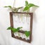 Wall Hanging Glass Planter Ins Terrarium Flower Bud Vase with Wooden Test CHK12N Carousel 10
