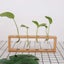 Wall Hanging Glass Planter Ins Terrarium Flower Bud Vase with Wooden Test CHK12N Carousel 14