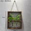 Wall Hanging Glass Planter Ins Terrarium Flower Bud Vase with Wooden Test CHK12N Carousel 16
