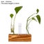 Wall Hanging Glass Planter Ins Terrarium Flower Bud Vase with Wooden Test CHK12N Carousel 17