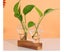 Wall Hanging Glass Planter Ins Terrarium Flower Bud Vase with Wooden Test CHK12N Carousel 19