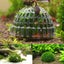 1pc Aquatic Pet Supplies Decorations Aquarium Moss Ball Live Plants Filte CHK12N Carousel 2