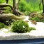 1pc Aquatic Pet Supplies Decorations Aquarium Moss Ball Live Plants Filte CHK12N Carousel 4